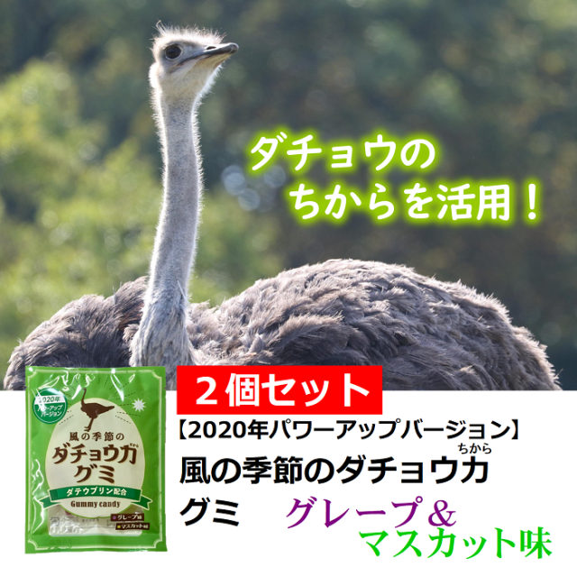 風の季節のダチョウ力グミ2個セット　ダチョウ抗体