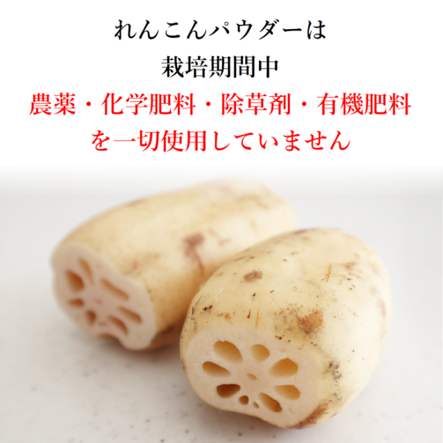 カプセル入りれんこんパウダー