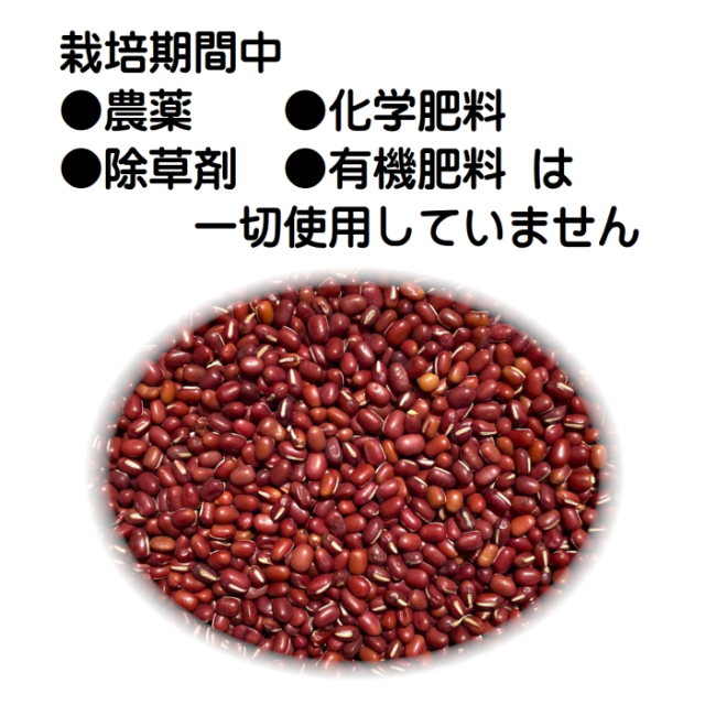 大豆 長野県産大豆　薬品磨き不使用小粒　訳あり10kg　X線　全農品質検査合格 国産大豆（無農薬・無化学肥料）の通販