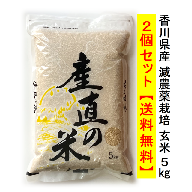 【送料無料】令和7年（2025年）度産 減農薬栽培米 こしひかり 5kg×2 玄米 宅配便配送 キャンセル不可 国産 香川県産