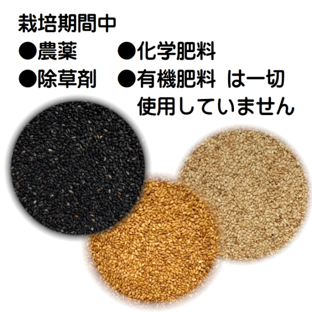 ごま3種セット 金ごま、黒ごま、白ごまの3種類が各100g 合計300g