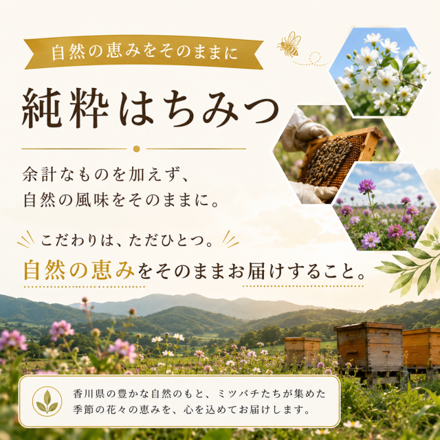 日本みつばちのはちみつ 250g 国産 非加熱 蜂蜜 天然 百花蜜