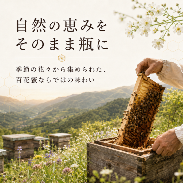 日本みつばちのはちみつ 250g 国産 非加熱 蜂蜜 天然 百花蜜