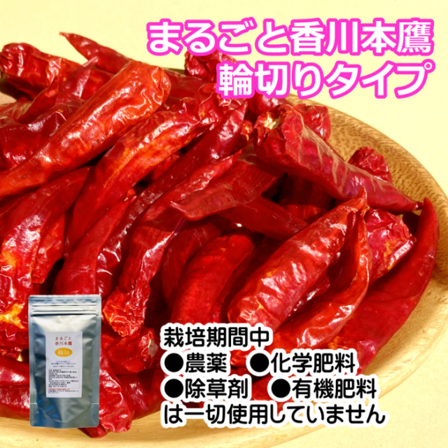 国産香川本鷹輪切り