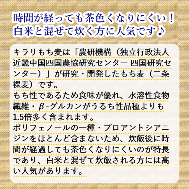 国産 キラリもち麦　品種説明