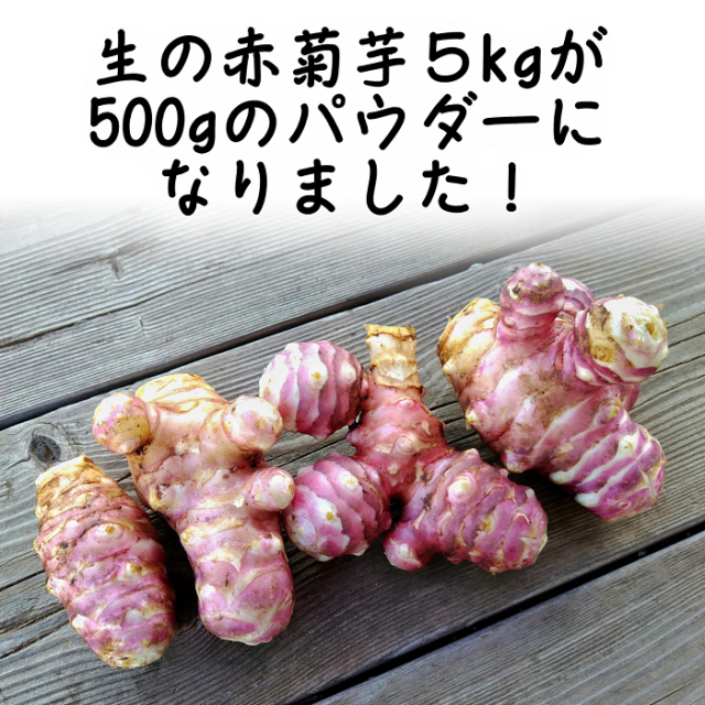 国産　赤菊芋パウダー