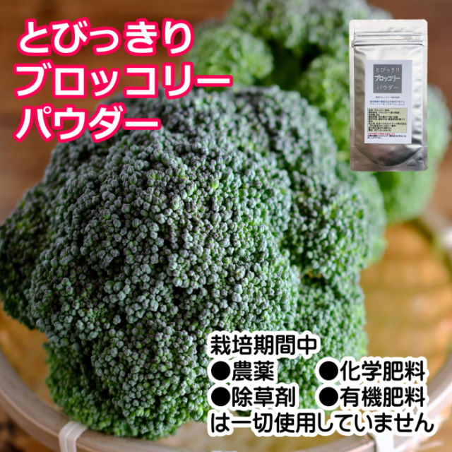 とびっきりブロッコリーパウダー 40g 粉末 国産 香川県産 栽培期間中農薬完全不使用