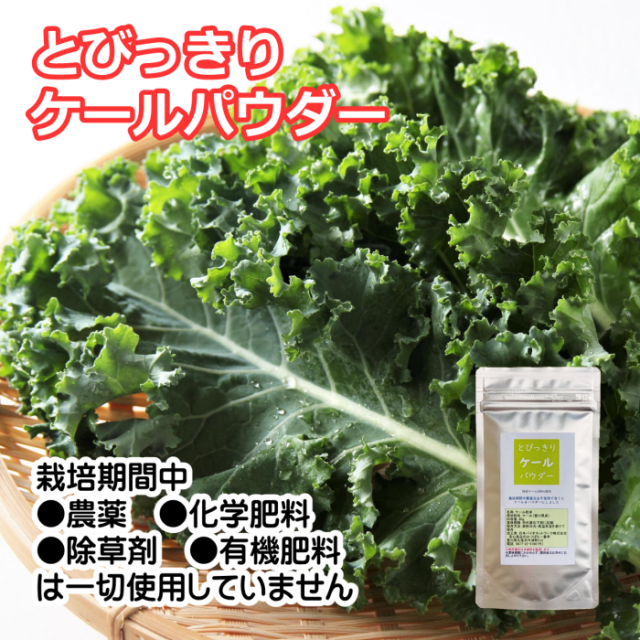 とびっきりケールパウダー 40ｇ 粉末 国産 香川県産 栽培期間中農薬完全不使用