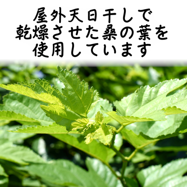 国産　桑葉パウダー