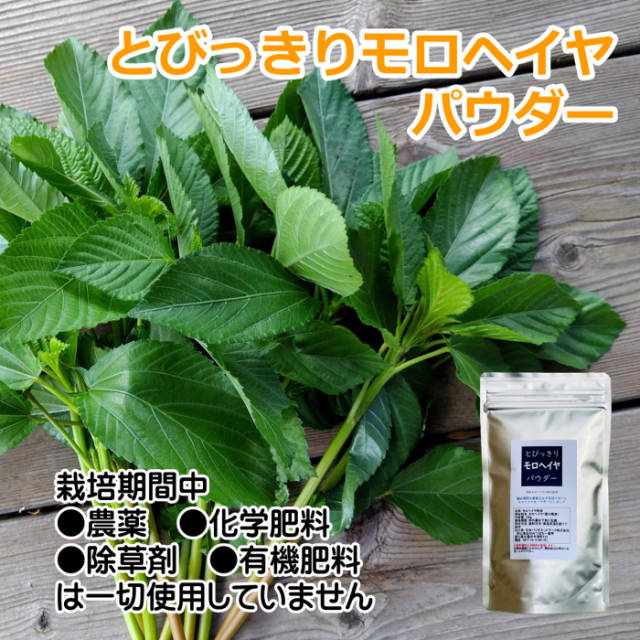 国産　モロヘイヤパウダー