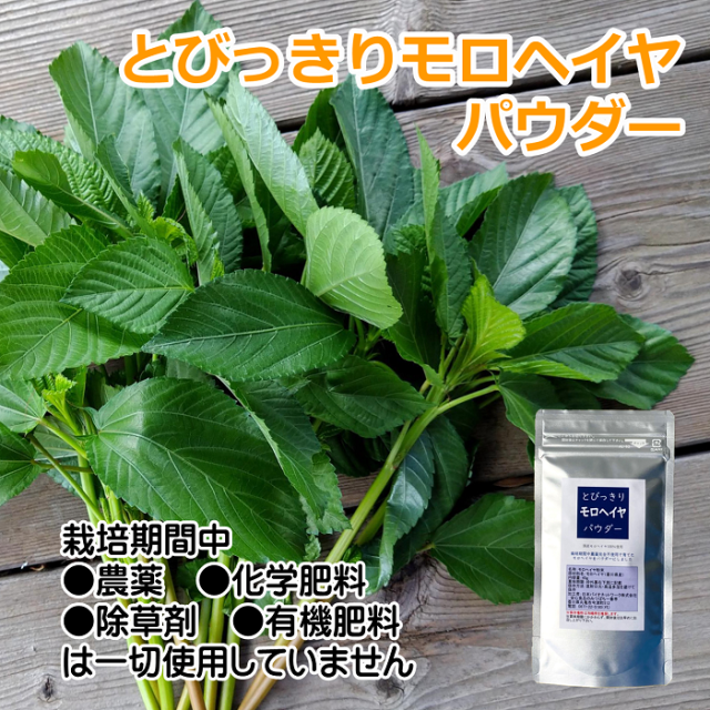 とびっきりモロヘイヤパウダー 40g 粉末 国産 香川県産 栽培期間中農薬完全不使用