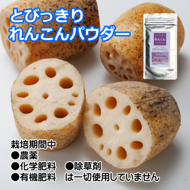 とびっきりれんこんパウダー 40g 粉末 国産 栽培期間中農薬完全不使用