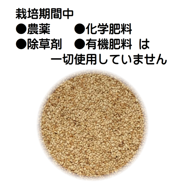 国産 白ごま 100g×3 焙煎済 香川県産 栽培期間中農薬完全不使用