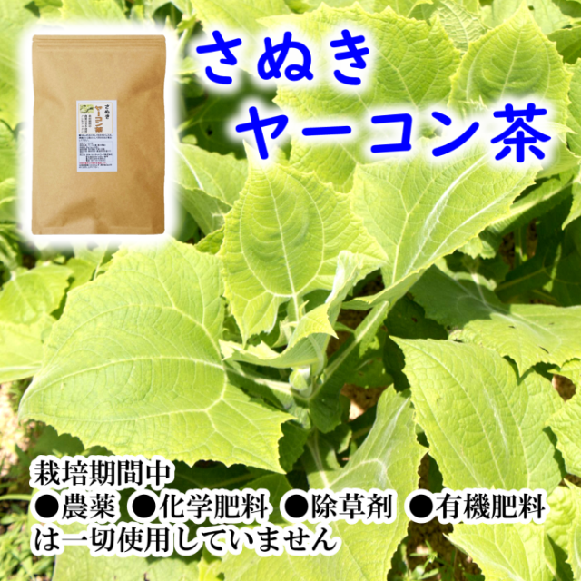 国産ヤーコン茶