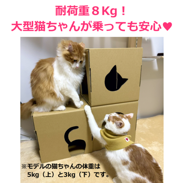 日本製 組み立て式キューブ型ダンボールキャットタワー