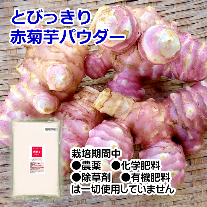 国産　赤菊芋パウダー