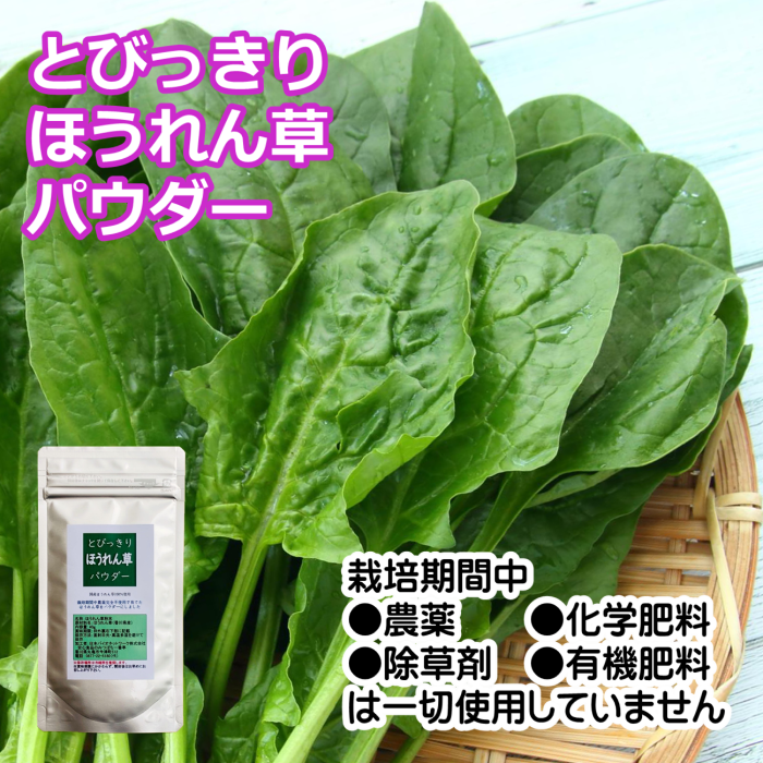 とびっきりほうれん草パウダー 40g 粉末 国産 香川県産 栽培期間中農薬完全不使用
