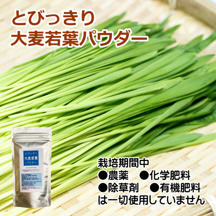 とびっきり大麦若葉パウダー 40g 粉末 国産 香川県産 栽培期間中農薬完全不使用