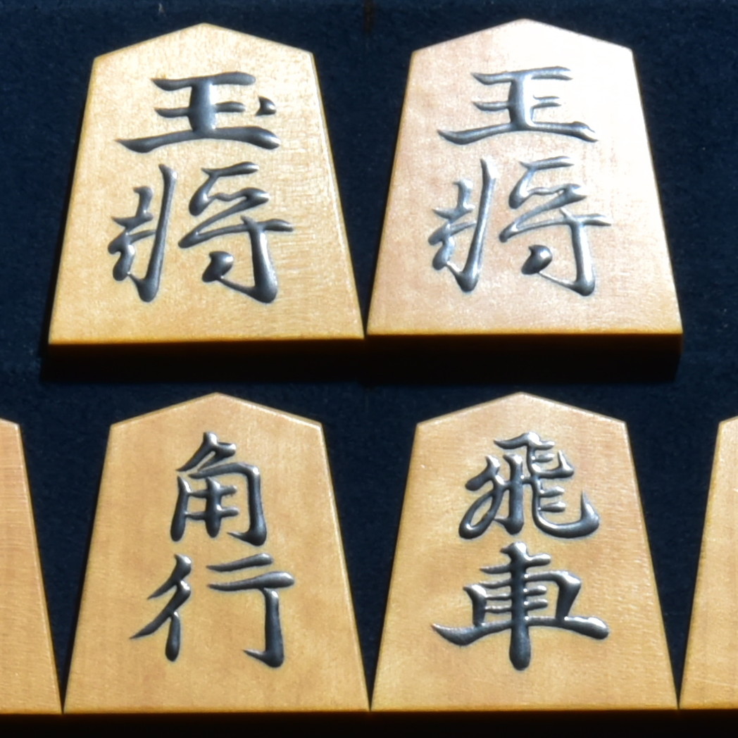 熊澤良尊作　清安　盛揚　斑入