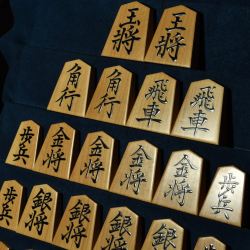 将棋駒　富月作　菱湖　赤柾（赤木地）　
