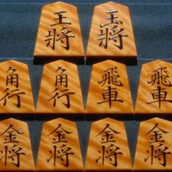 将棋駒　一舟作　菱湖　虎斑　中古　e015