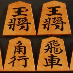 将棋駒　天竜作　孔雀杢盛揚　水無瀬　中古　