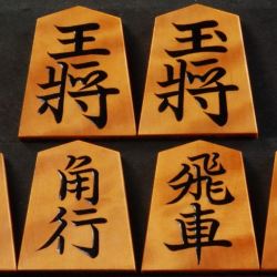 将棋駒　竹風作　根杢盛揚　金竜書　中古　