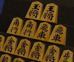 将棋駒　熊澤良尊作　孔雀杢　無双　盛揚