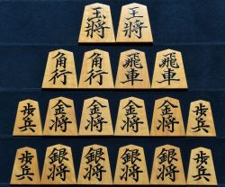 江陽作　巻菱湖　根柾　盛揚