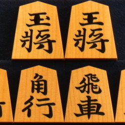 大竹竹風作　錦旗　盛揚　赤柾