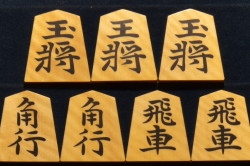 道心作　昇竜斎書　彫埋　虎斑