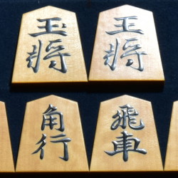 熊澤良尊作　清安　盛揚　斑入