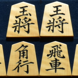 淘水作　菱湖　斑入り　彫駒