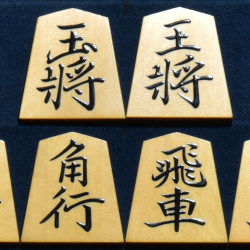香月作　巻菱湖書　　盛揚