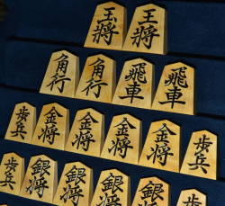 将棋駒　蜂須賀作　菱湖書　杢　彫駒