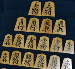 将棋駒　芳粹作　魚龍書　稲妻杢　盛揚