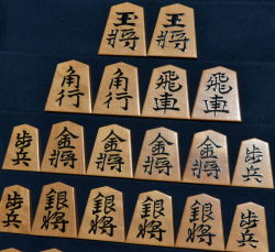 将棋駒　富月作　水無瀬書　赤木地　盛揚