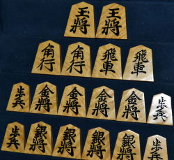 将棋駒　天一作　天童楷書　盛揚