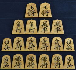 将棋駒　一舟作　菱湖書　杢　彫駒