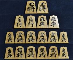 将棋駒　 蛍雪作　淇洲書　盛揚