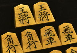 将棋駒　久徳作　菱湖書　極上杢　盛揚