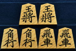 将棋駒　大竹竹風作　菱湖　虎斑極上