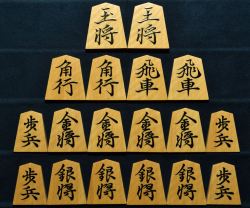 桐月作　鵞堂　虎斑　盛揚