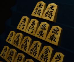 将棋駒　掬水作　錦旗　虎斑極上　盛揚