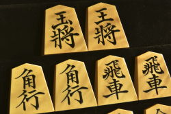 将棋駒　寛月作　巻菱湖　虎斑　盛揚　
