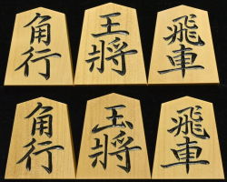 将棋駒　竹風作　特上彫　菱湖