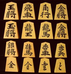 将棋駒　竹風作　特上彫　水無瀬兼成