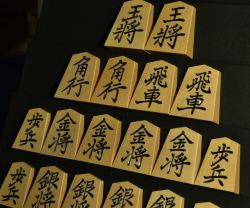 将棋駒　竹風作　特上彫　菱湖 特上木地