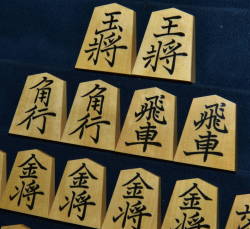 将棋駒　竹風作　彫埋　菱湖