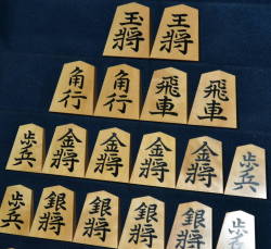 将棋駒　竹風作　自然木柾目　彫埋　昇竜